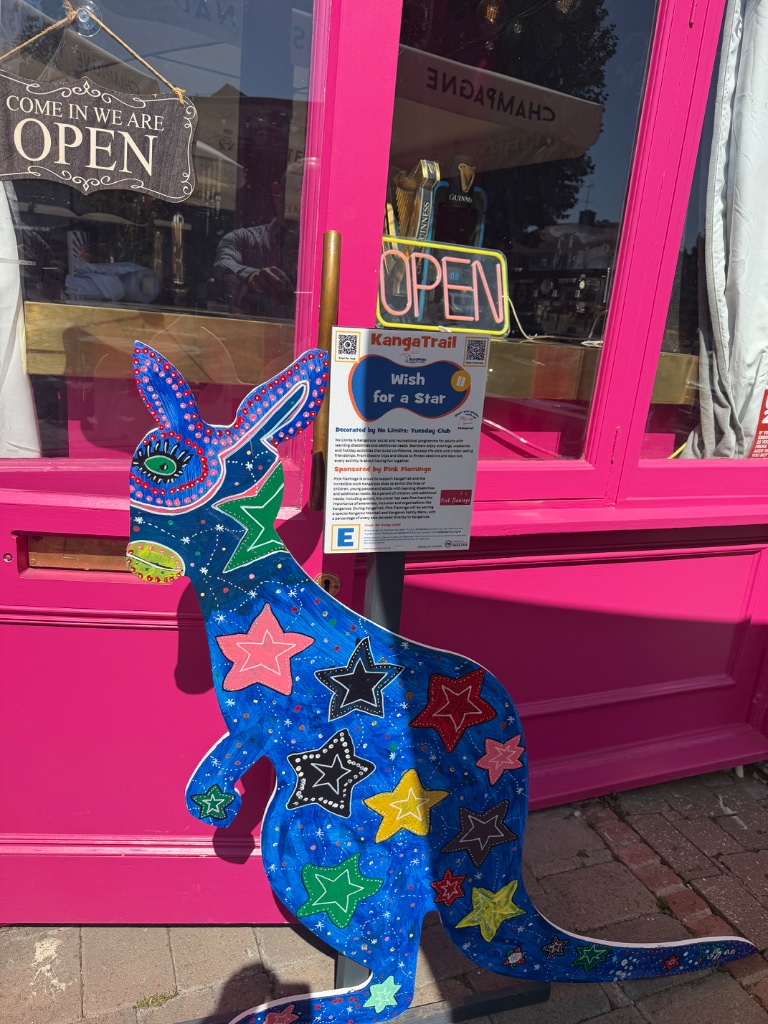 Pink Flamingo's decorated Wish for a Star kangaroo on the KangaTrail