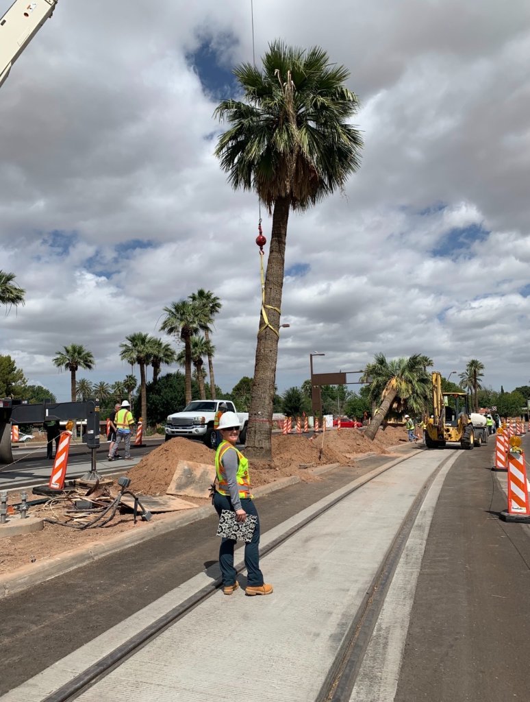 Construction & Tree Preservation
