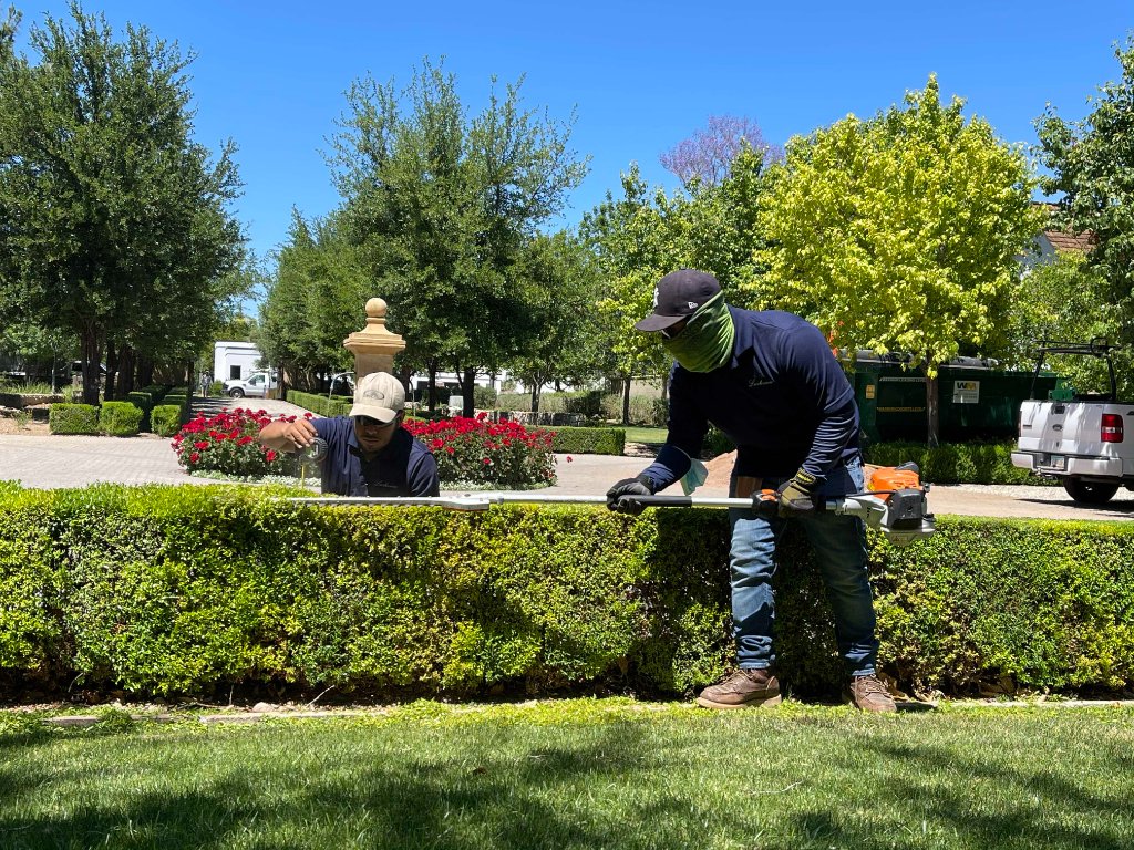 Landscape Maintenance Contractors
