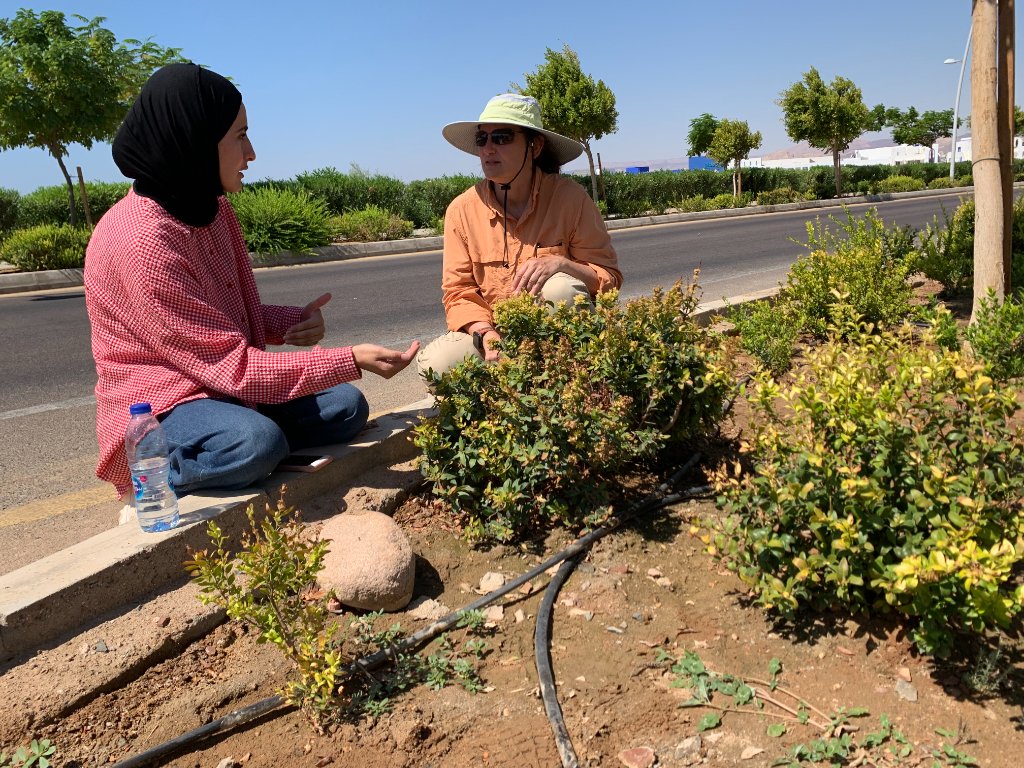 Landscape Oversight & Consulting