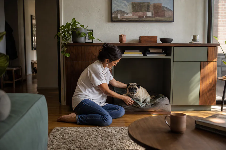 Woman and pug using a freestanding dark wood-finish and sage furniture piece made for their living room.