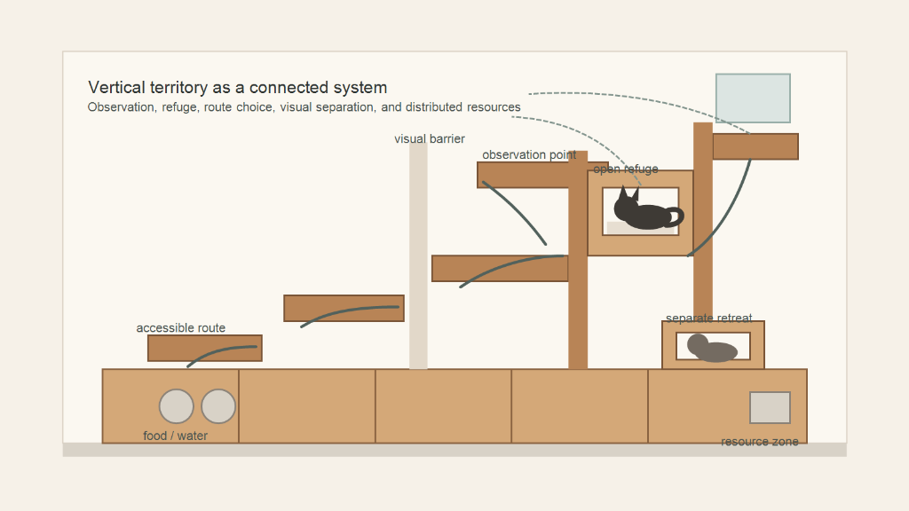 Diagram of a connected cat vertical territory system with observation point, open refuge, accessible route, visual barrier, and separated resources.