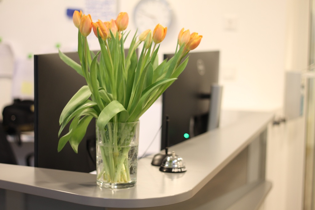 Rezeption mit Tulpen