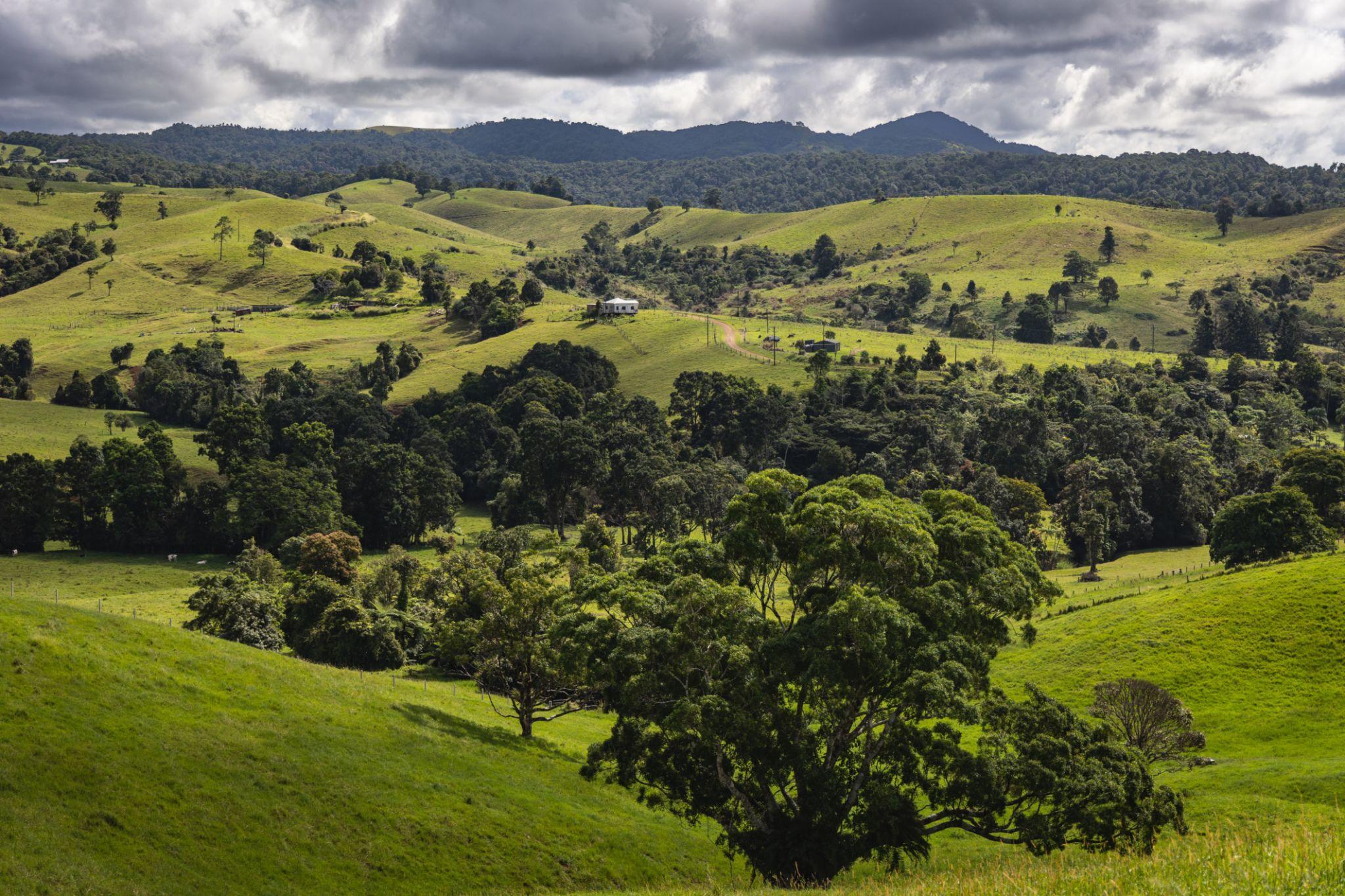 Rolling green hills of the Atherton Tablelands with a farmhouse and distant mountain ranges