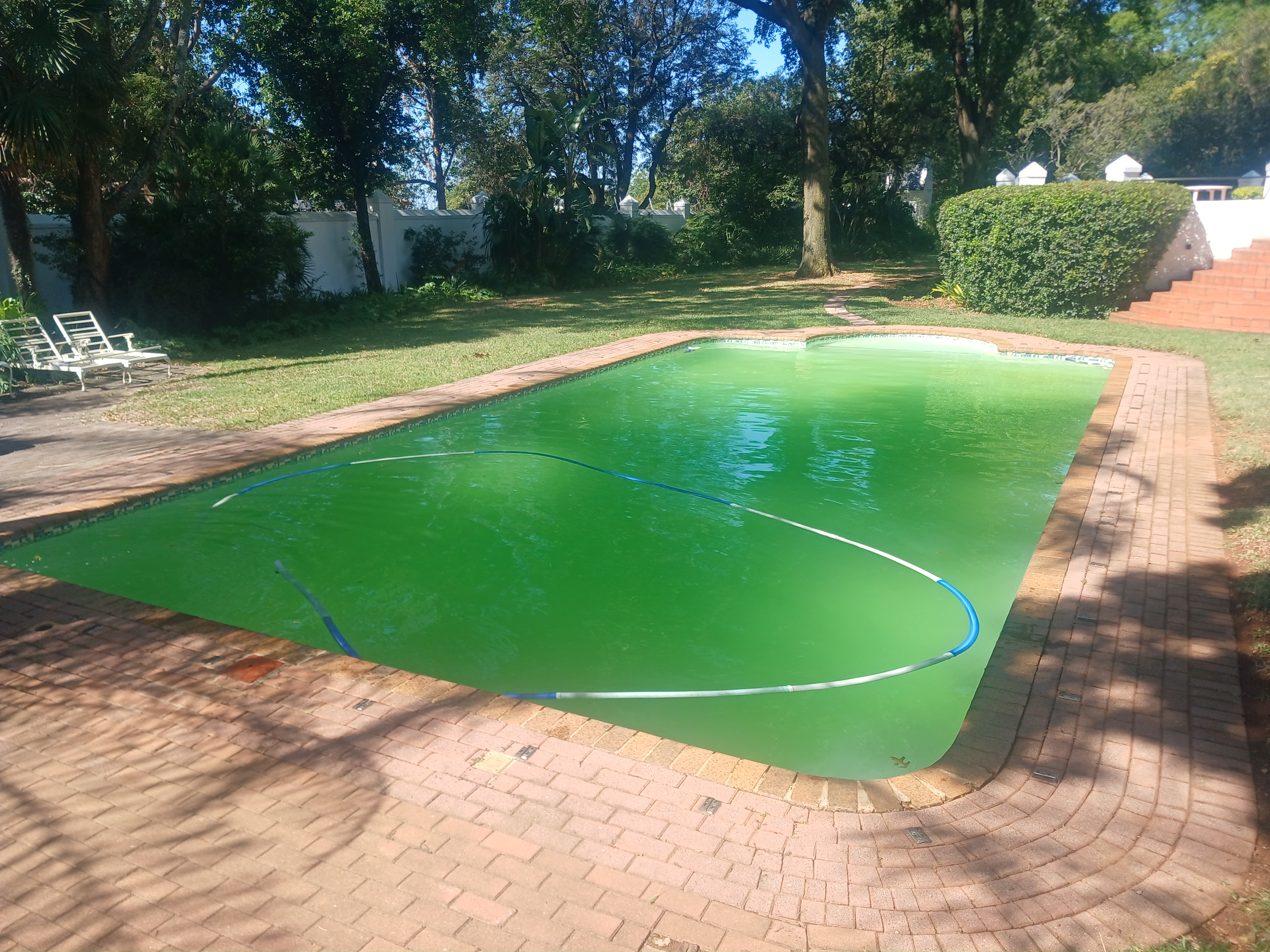 Green-to-clear recovery โ before