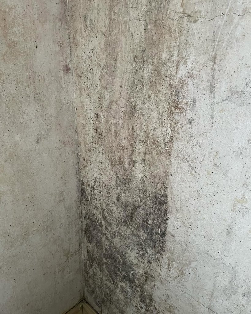 Mould on walls in an Irish home — black mould caused by condensation on cold walls