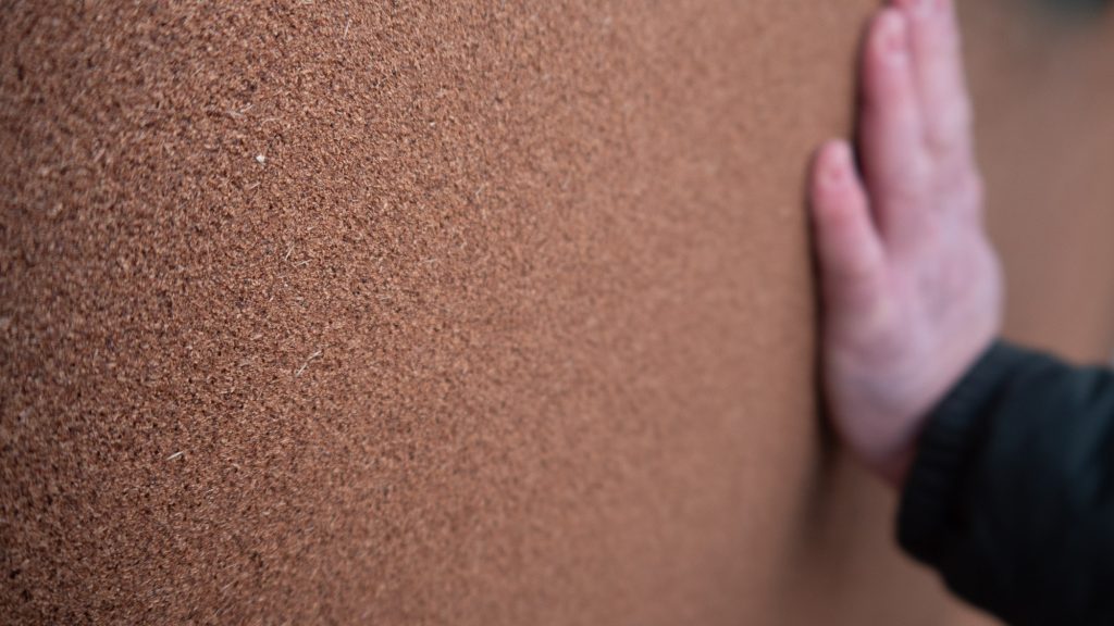 Cork insulation applied to damp internal wall