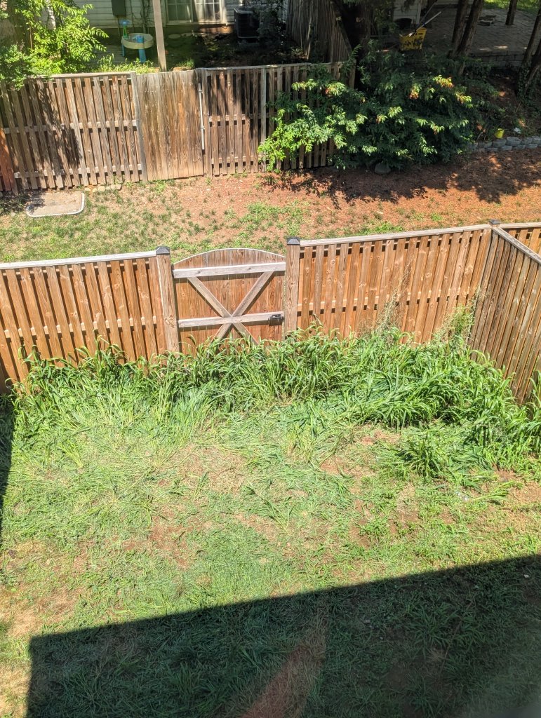Before