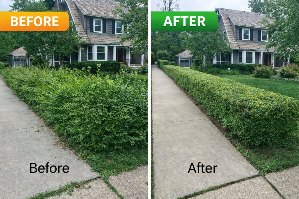 Hedge Trimming
