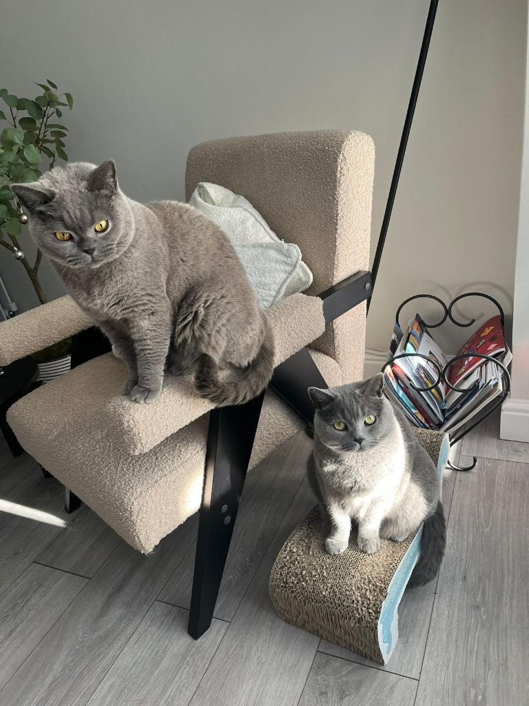 Ralph and Bentley