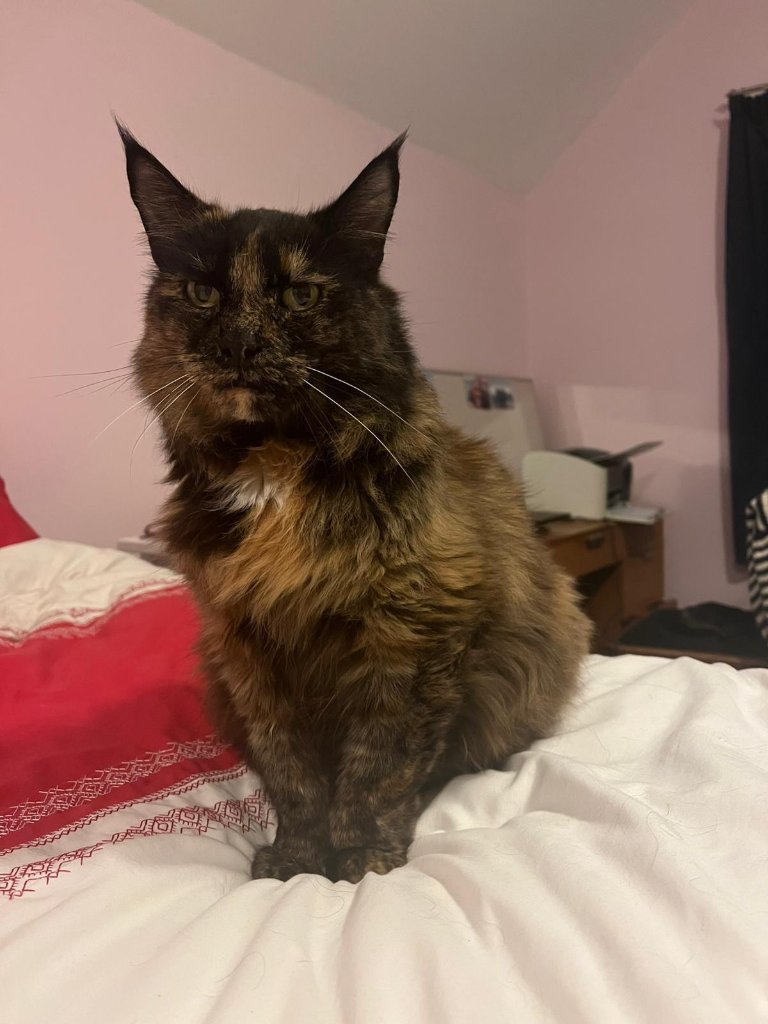 Luna