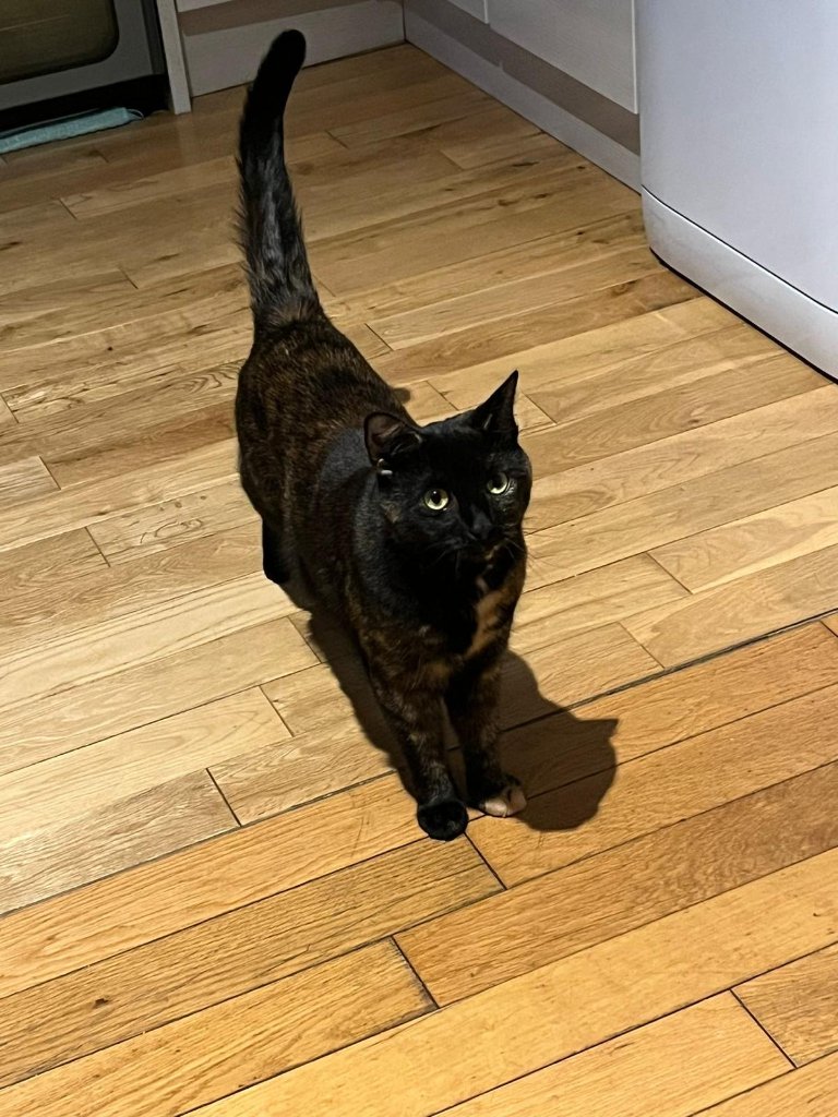Amber