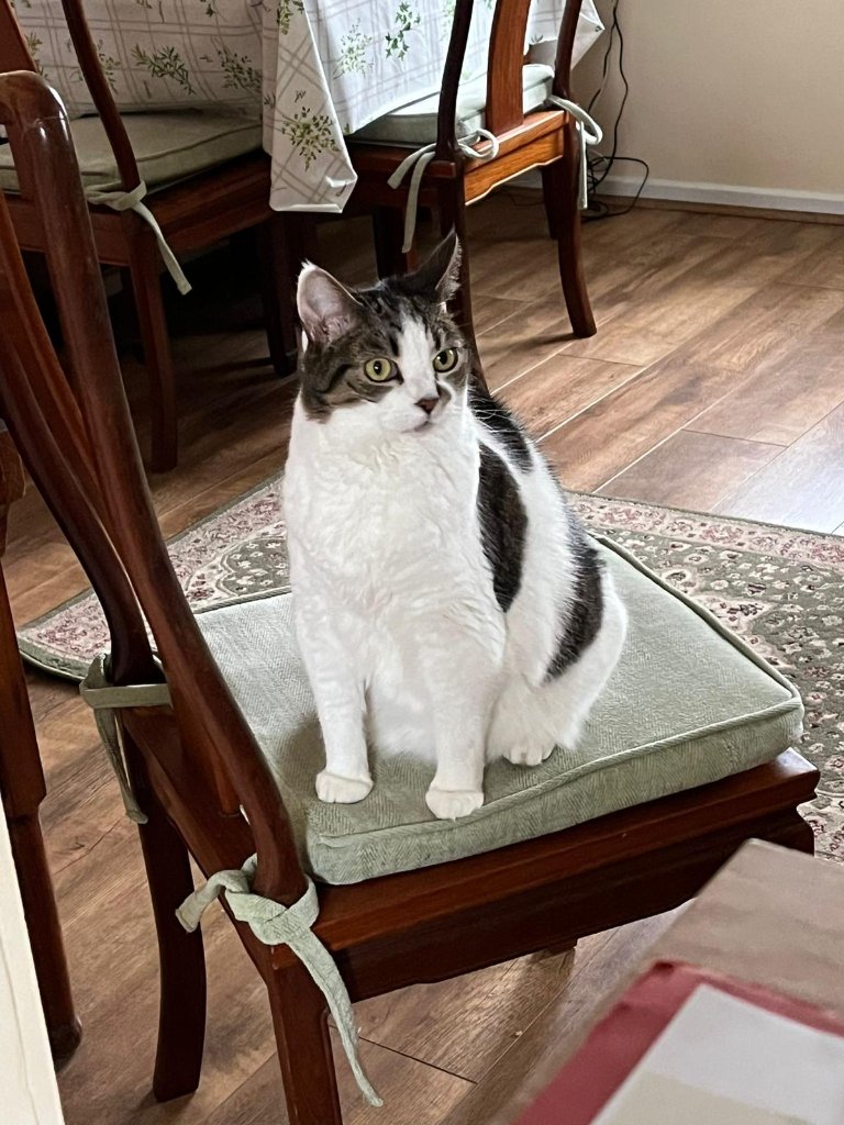 Luna