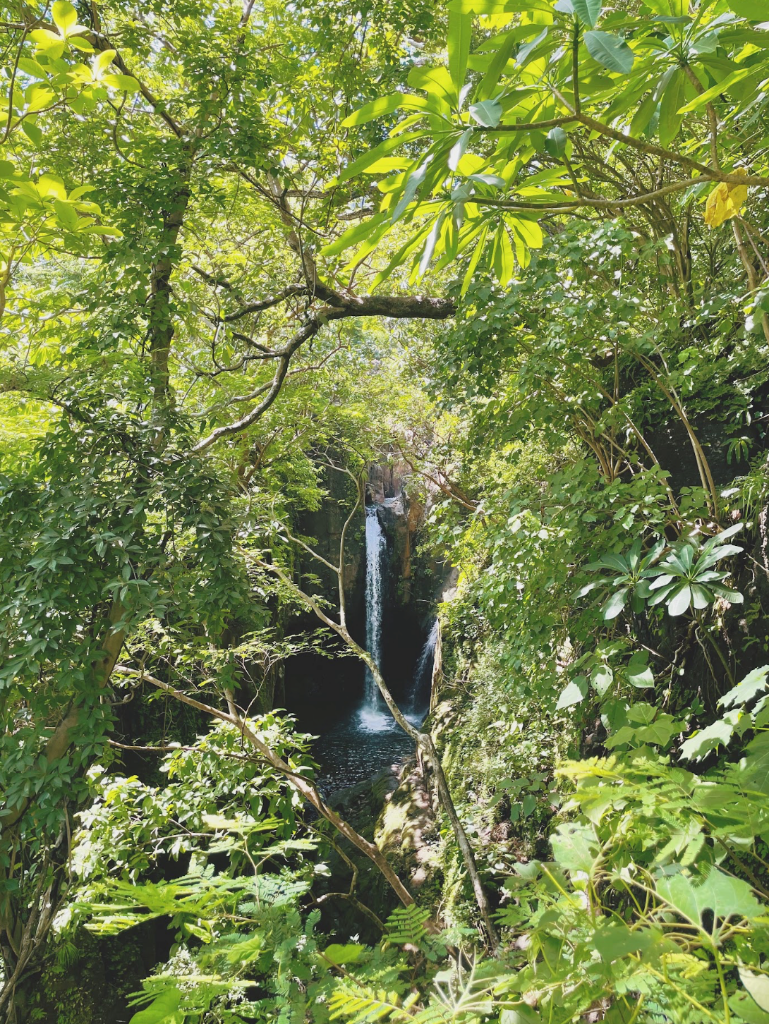 Tamanique Waterfalls