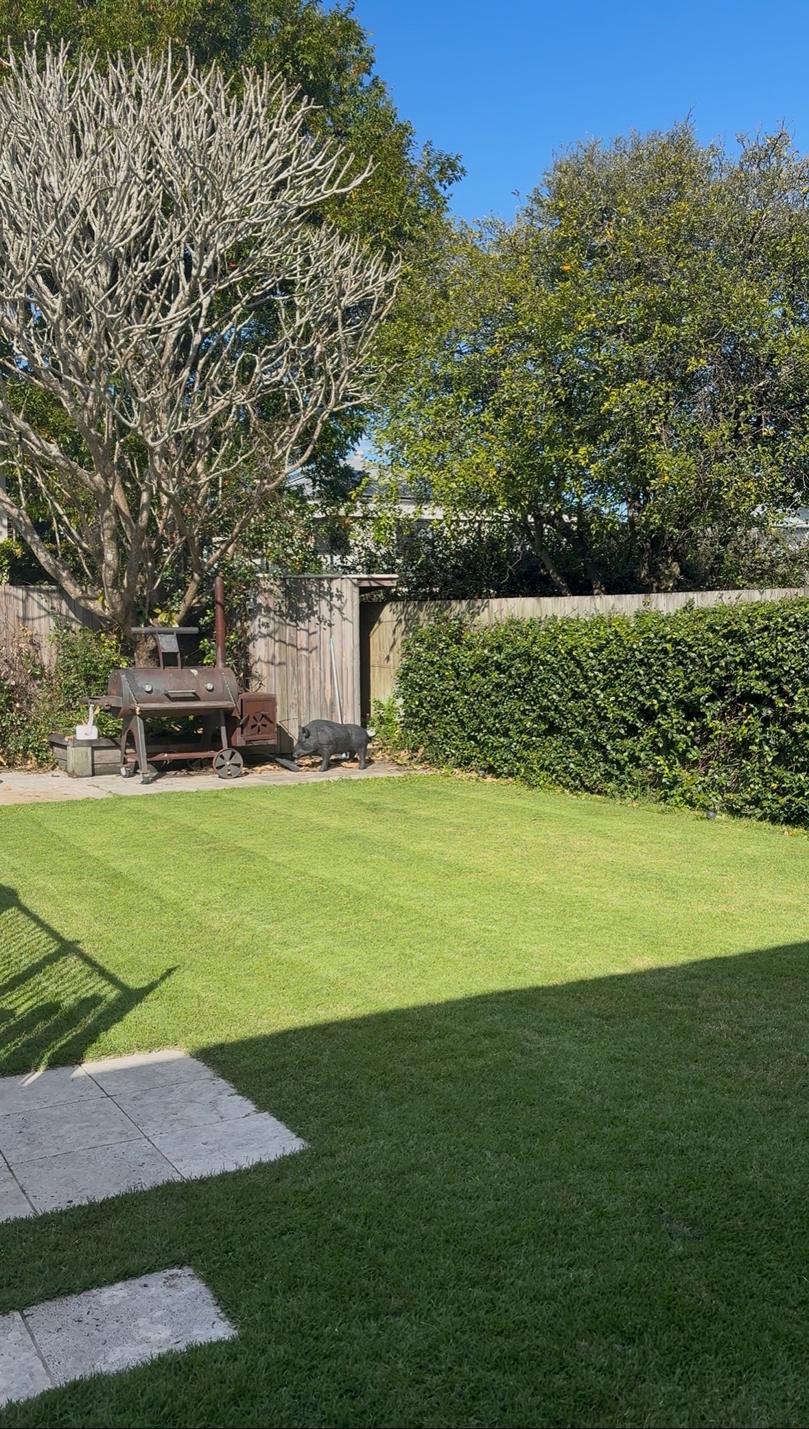 Mowed lawn with hedge backdrop and clear sky