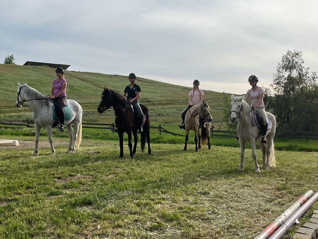 Horses at sunset