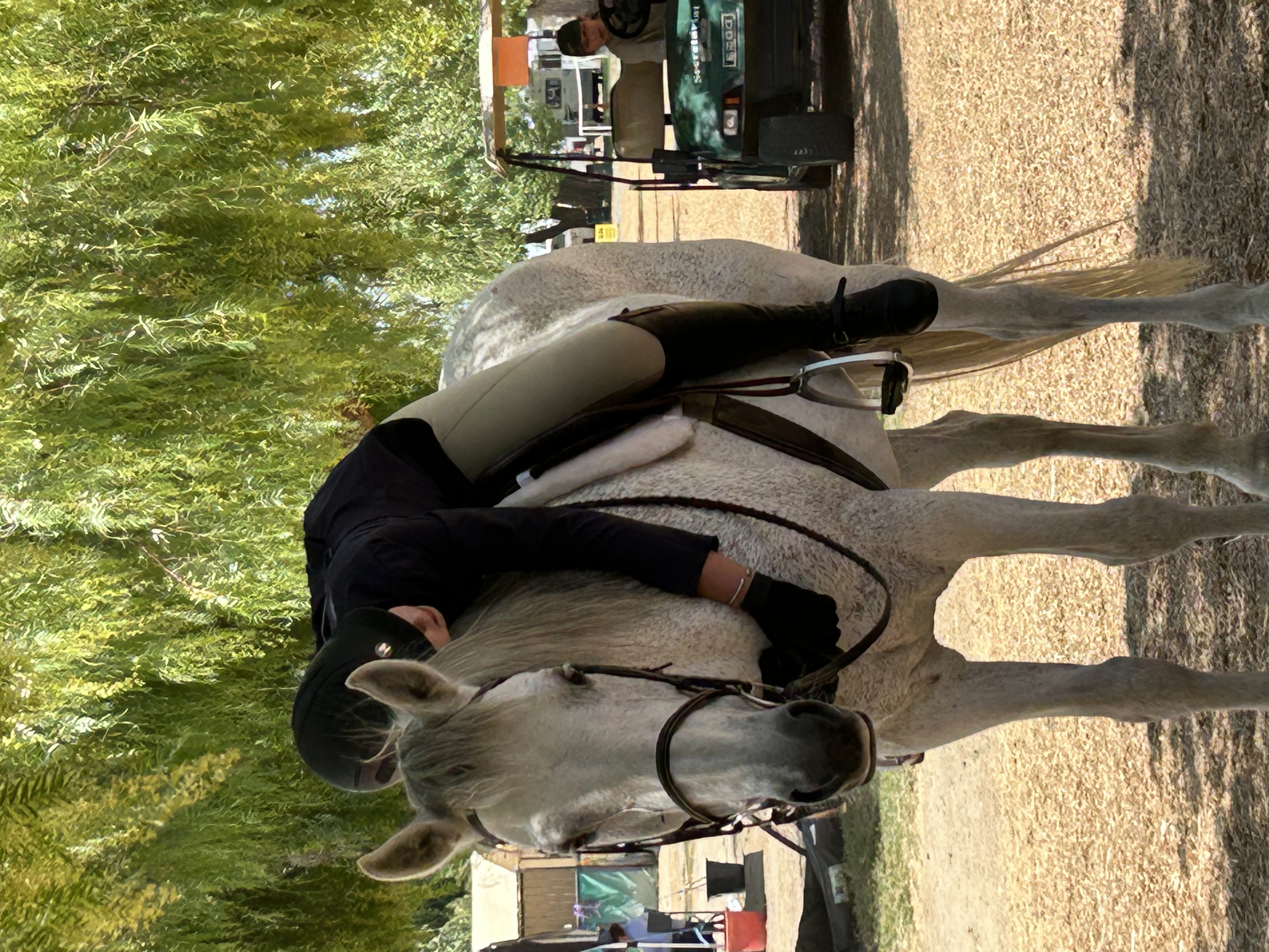 Young rider with horse