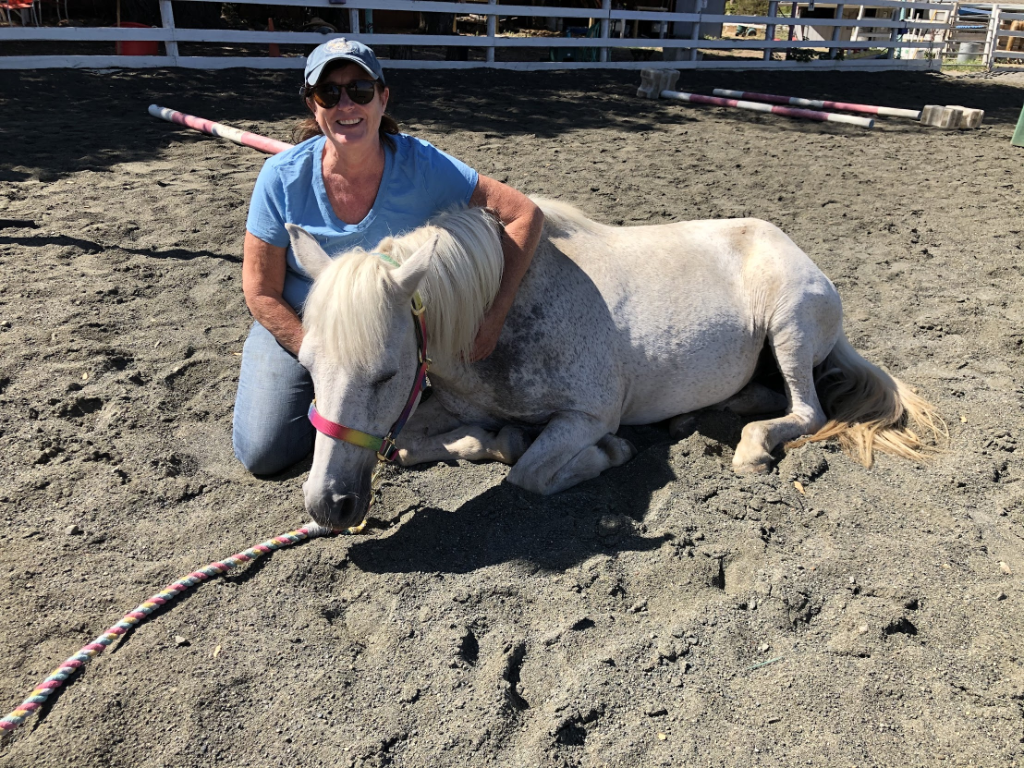 Person with horse