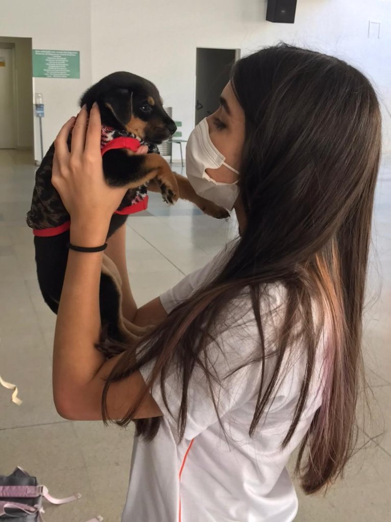 Amor em ação — cuidado com os pets