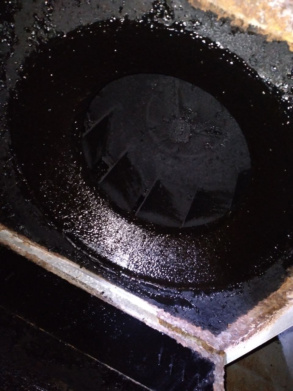 Fan & Fan Blades before cleaning