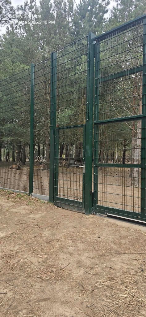 Brama skrzydłowa kuta ozdobna z automatyką – realizacja Bramy Bilski Słupsk