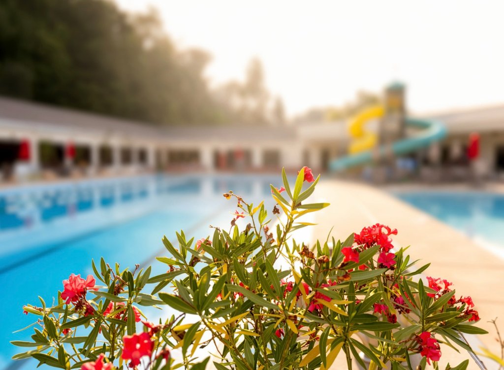Poolside Gardens
