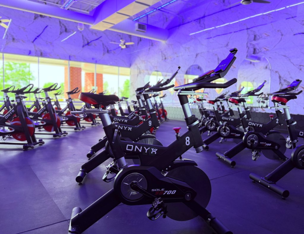 Cycle Studio