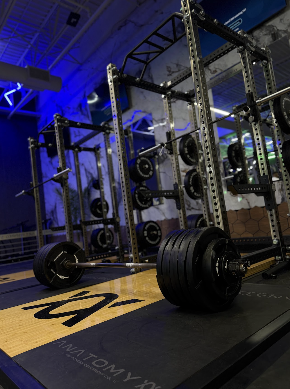 Coach guiding a strength session