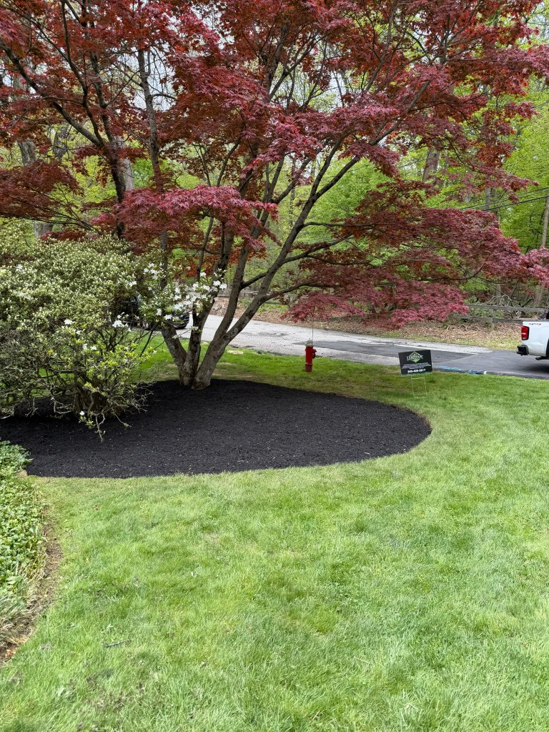Precision lawn edging detail