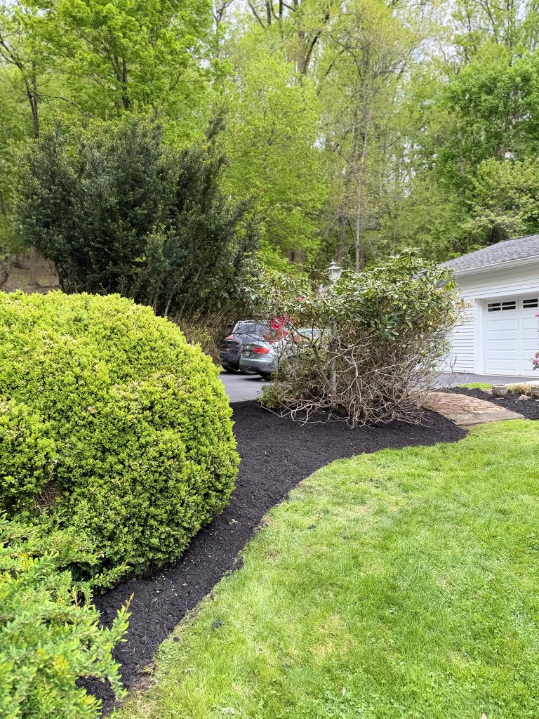 Landscape Beds