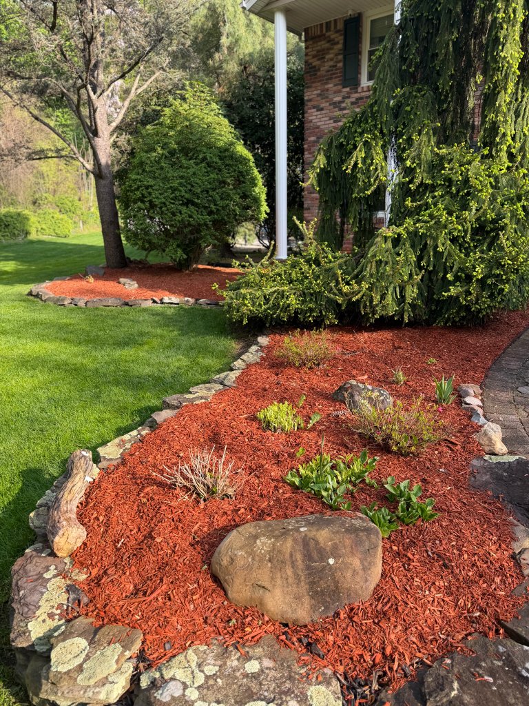 Property Care