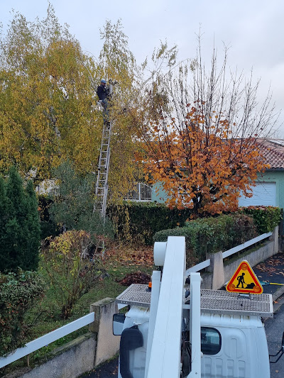 Élagage d'arbres