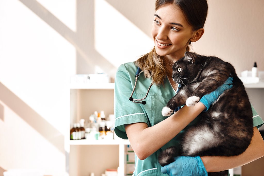 Veterinary Care