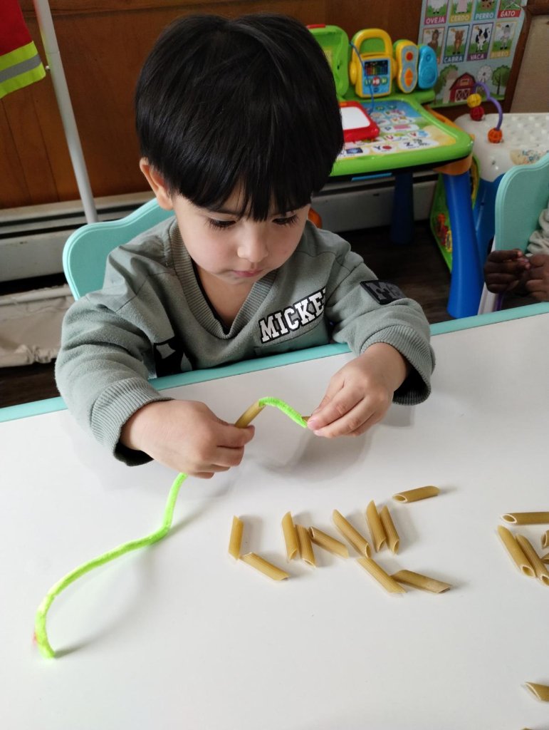 Fine Motor Skills