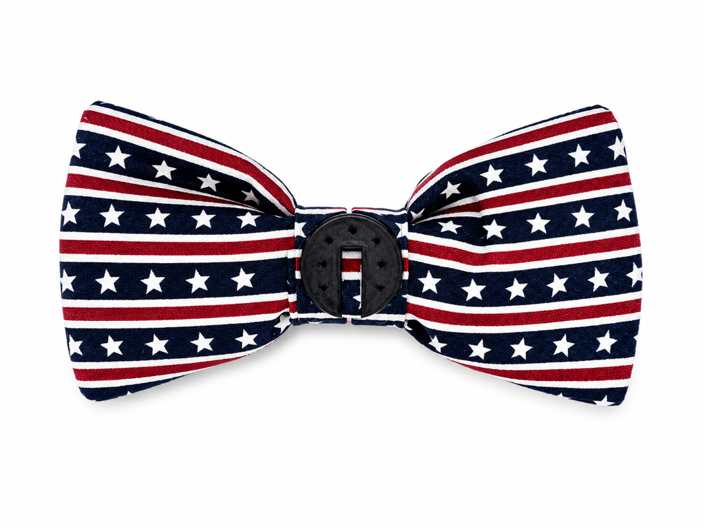 Flag Americana