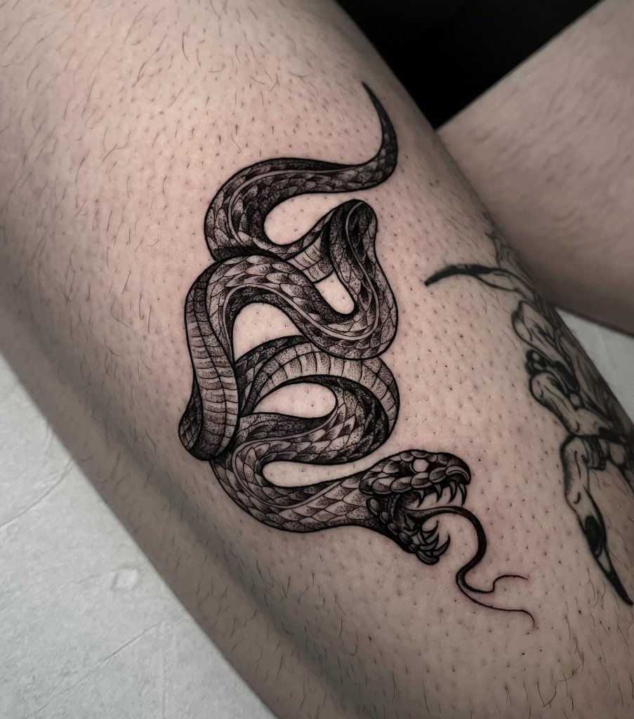 Serpiente en pierna