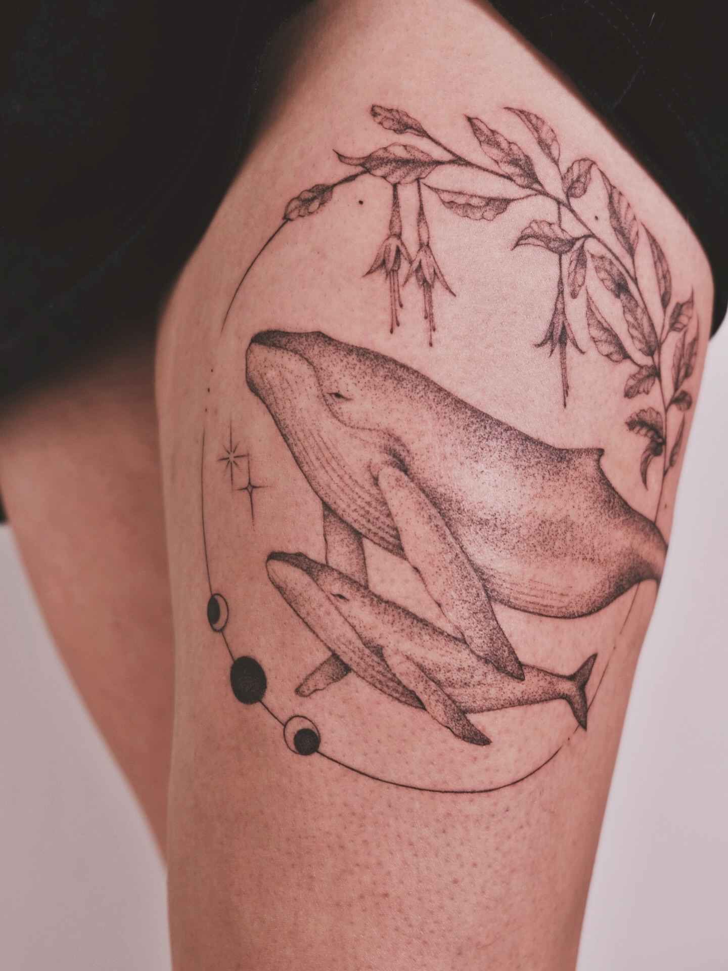 Ballenas