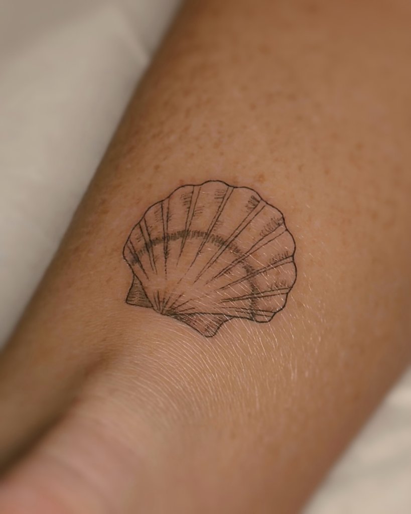 Concha de mar