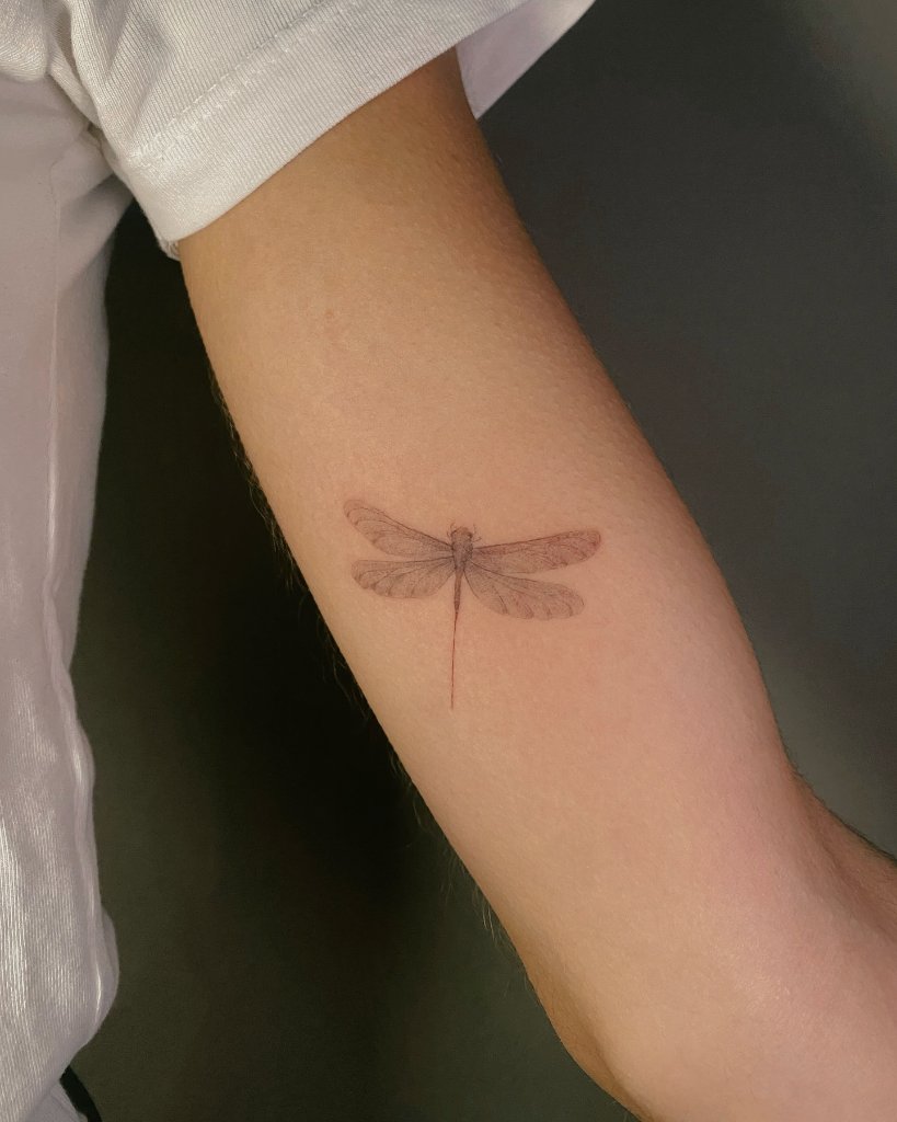 Libélula