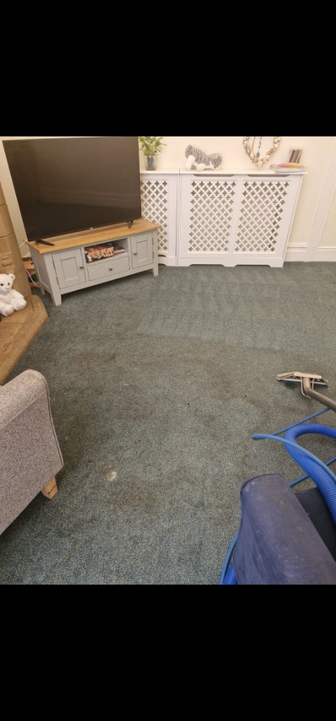 Carpet before cleaning with stains