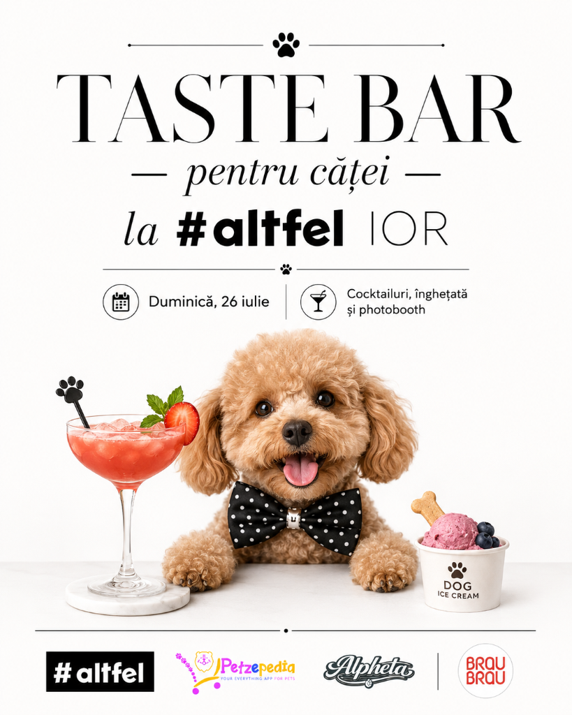 Taste Bar pentru căței