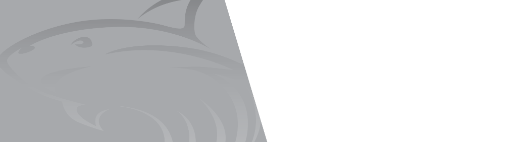 Shark overlay