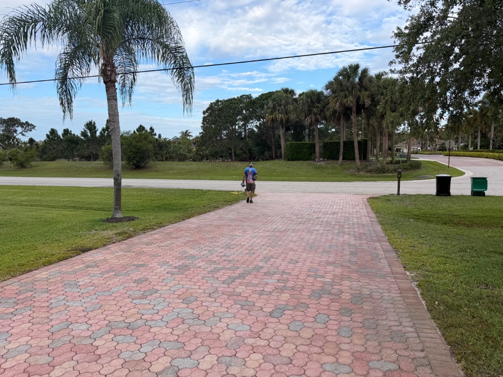 Paver Sealing before