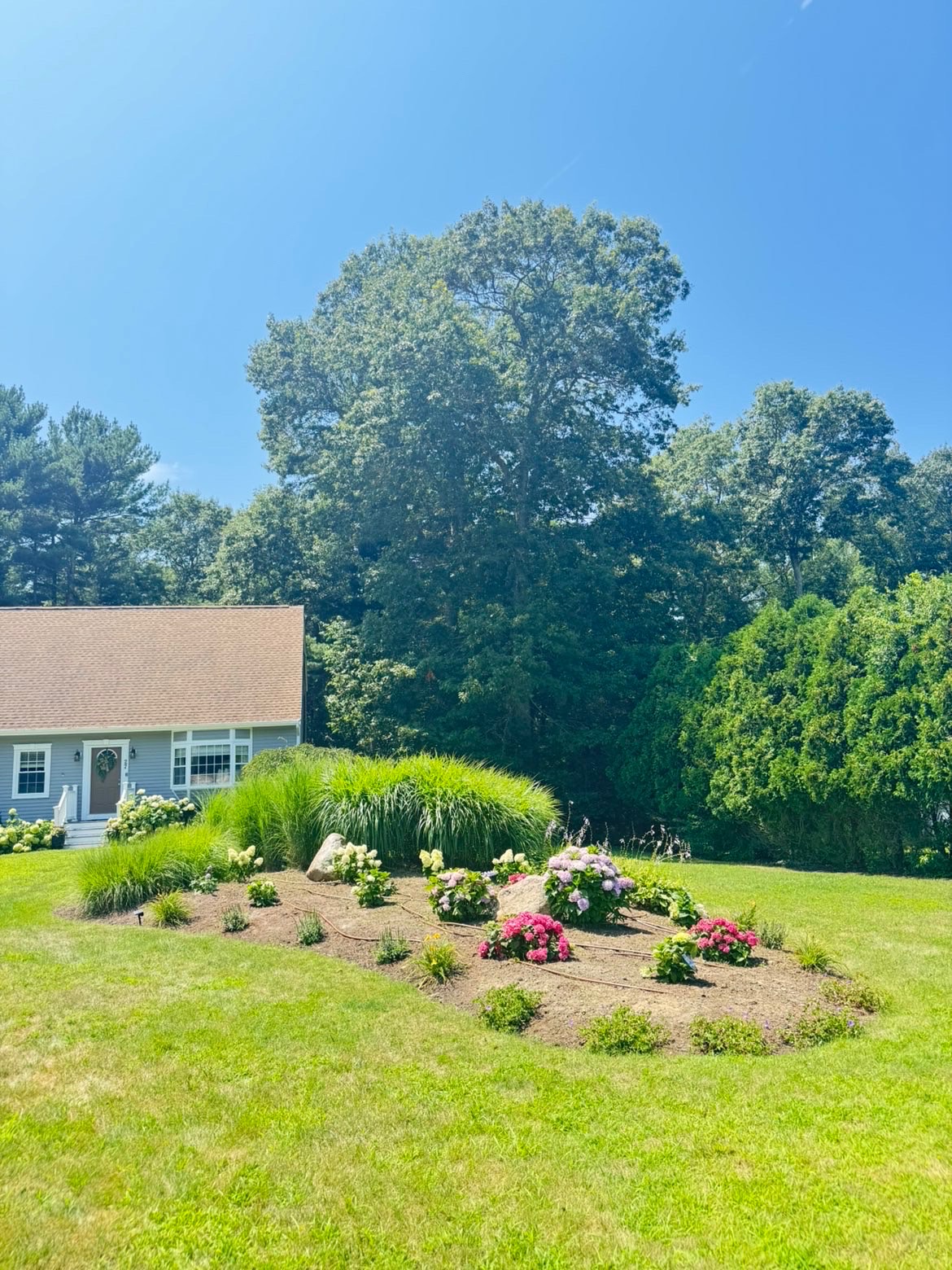 Precision striped lawn by Lavoie Lawns
