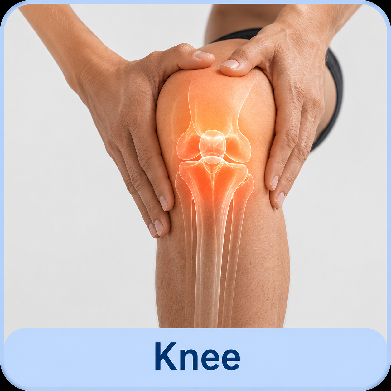 Knee