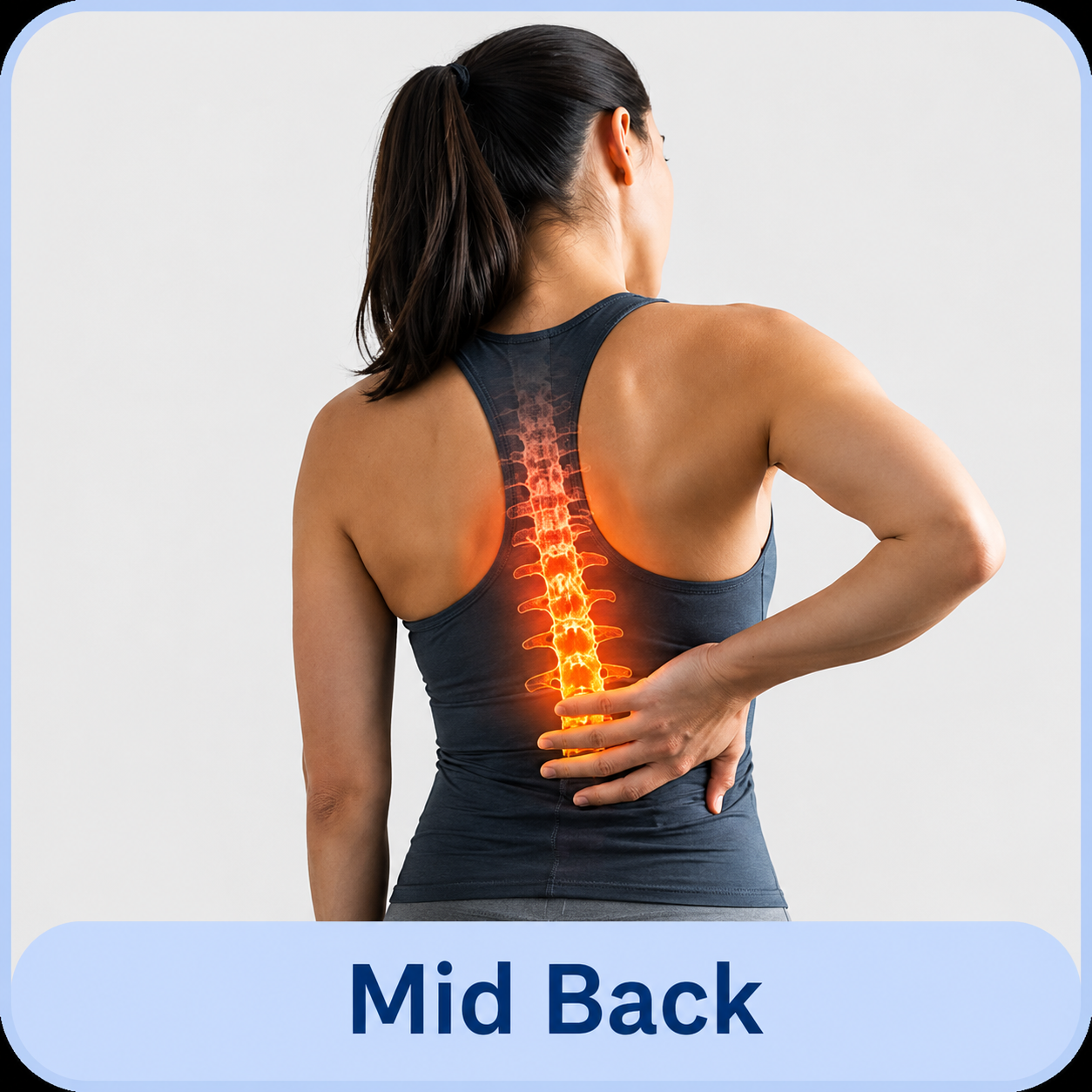 Mid Back