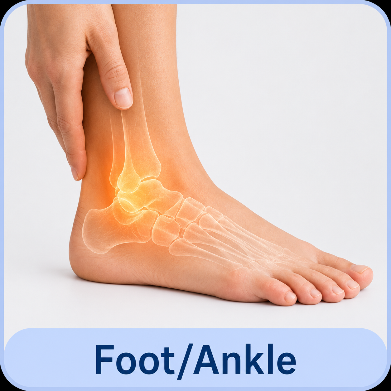 Ankle