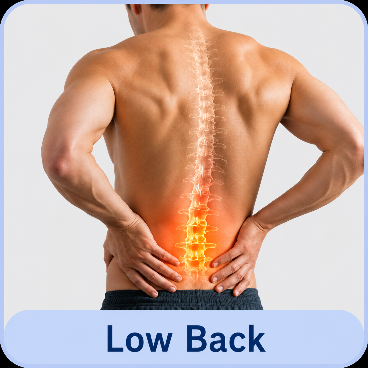 Low Back