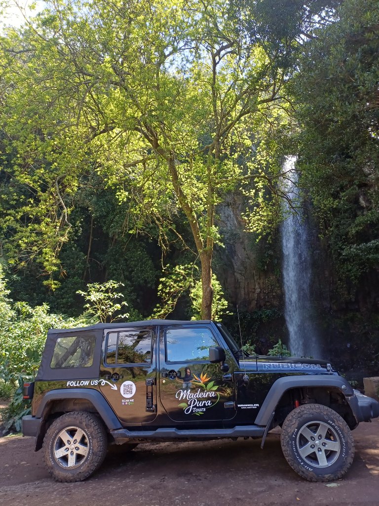Custom Private Tour