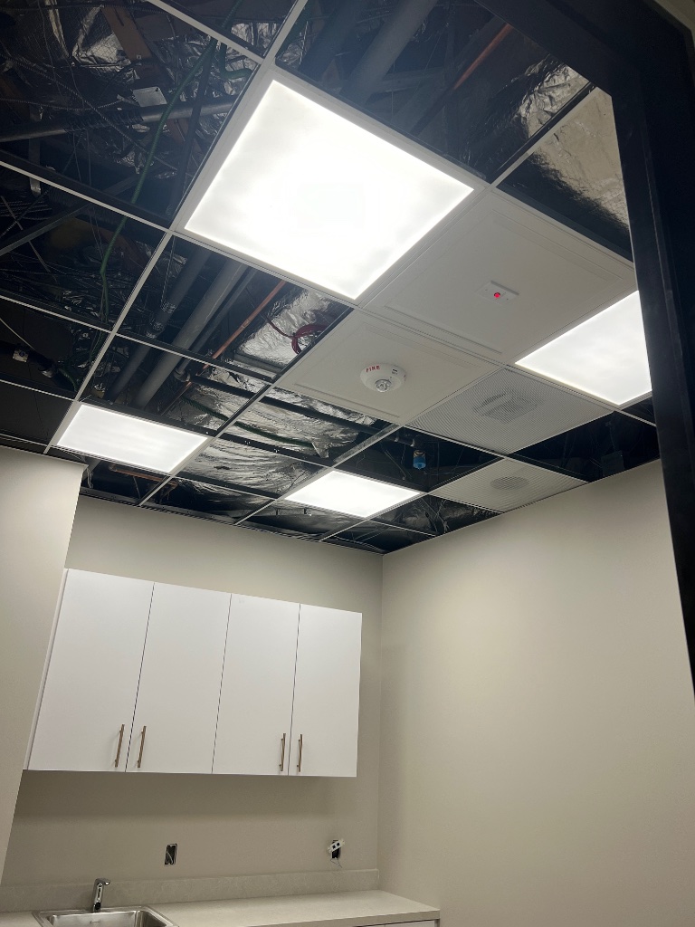 Panel & Meter Upgrades